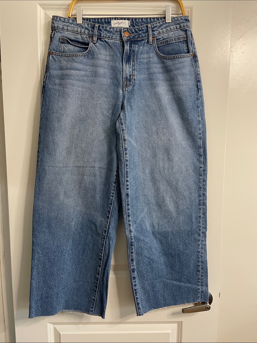 Carly Jean Los Angeles Finn Midrise Baggy Jean Raw Hem Size 9